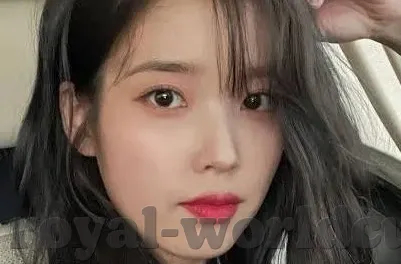 足球即时指数即时比分-深度解析，足球即时指数与即时比分——球迷必备的观赛指南